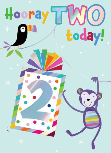 Picture of HOORAY TWO TODAY BIRTHDAY CARD